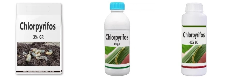 Chlorpyrifos Chlorpyrifos